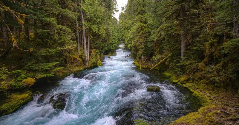 Finding kayaking near me without falling into the tourist trap