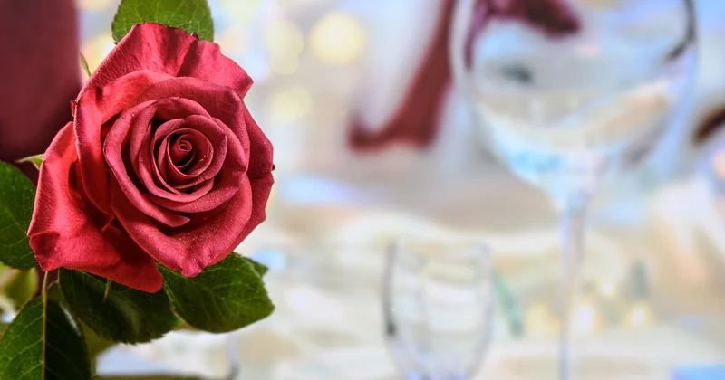 What is the most luxurious honeymoon destination?