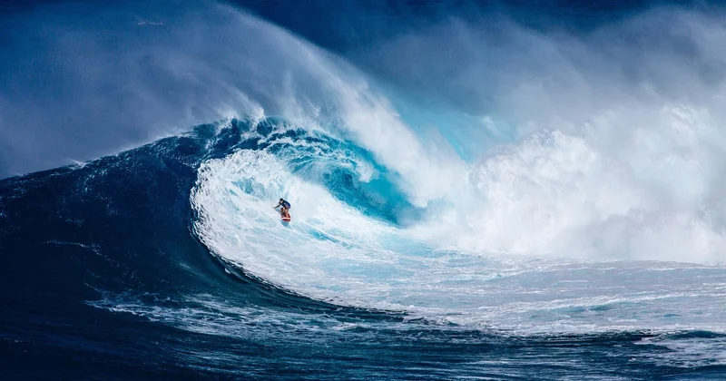What are some of the most thrill-seeking activities?